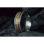 Titanium Ring with Dinosaur Tooth, Meteorite and Guitar Strings