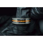 Titanium Ring with Dinosaur Tooth, Meteorite and Guitar Strings