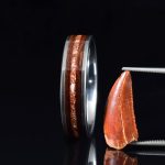Titanium Wedding Ring with Mahogany Wood and Spinosaur Dinosaur Tooth